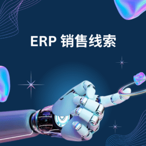 ERP 销售线索