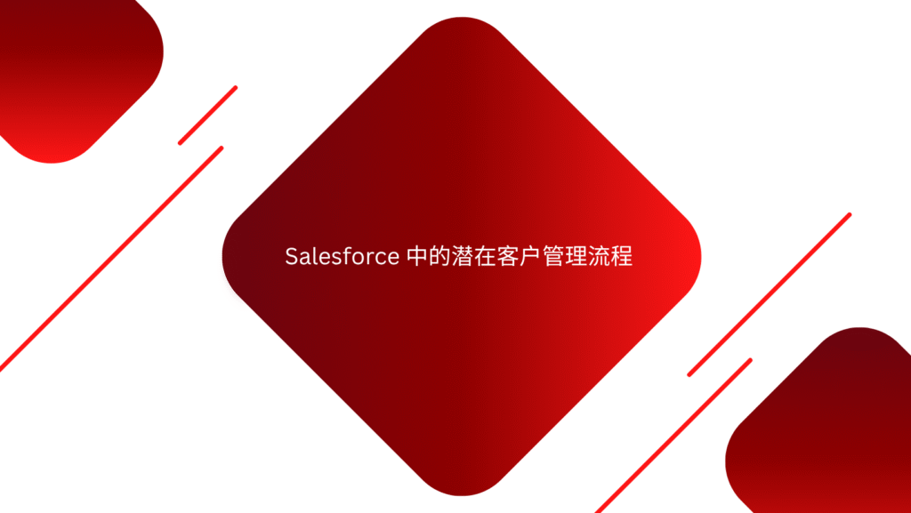 Salesforce 中的潜在客户管理流程