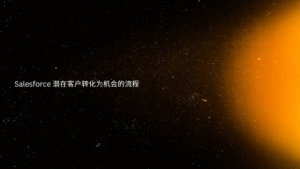 Salesforce 潜在客户转化为机会的流程