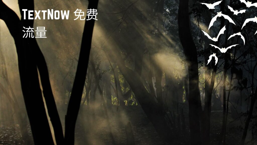 TextNow 免费流量