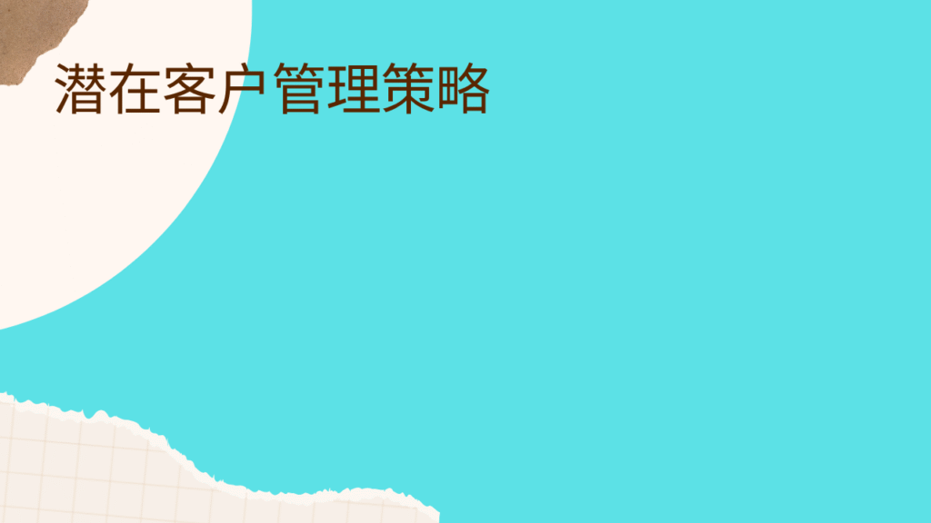 潜在客户管理策略