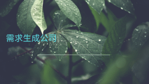 需求生成公司